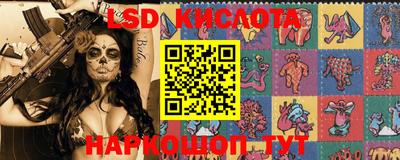 гидропоника Славгород