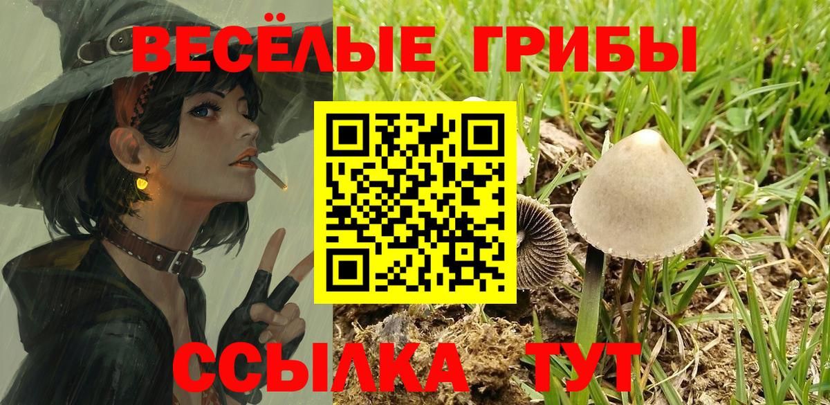 Галлюциногенные грибы Magic Shrooms Прохладный