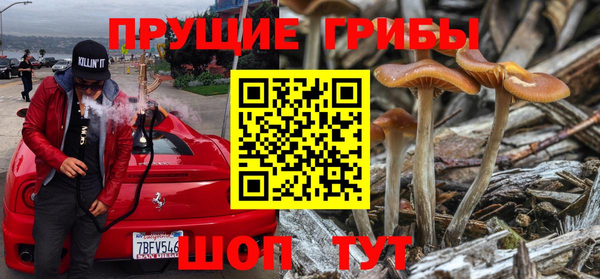 Псилоцибиновые грибы Psilocybine cubensis  Псилоцибиновые грибы Cubensis  Прохладный  Вход с VPN 